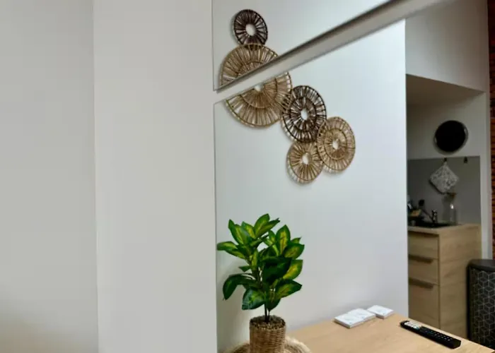 Apartment Place Du Capitole Climatisation